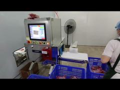 Industriële voedselröntgeninspectiemachine voor kwaliteitscontrole