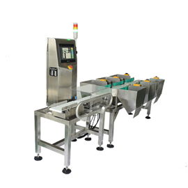 Check Weigher China Industriële voedseldozen Kartonnen Transportband Check Weigher Prijs