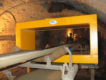 90W multi - Rejector-het Metaaldetector van de Voedselrang in Houten, Logboek, Steenkool, Cement
